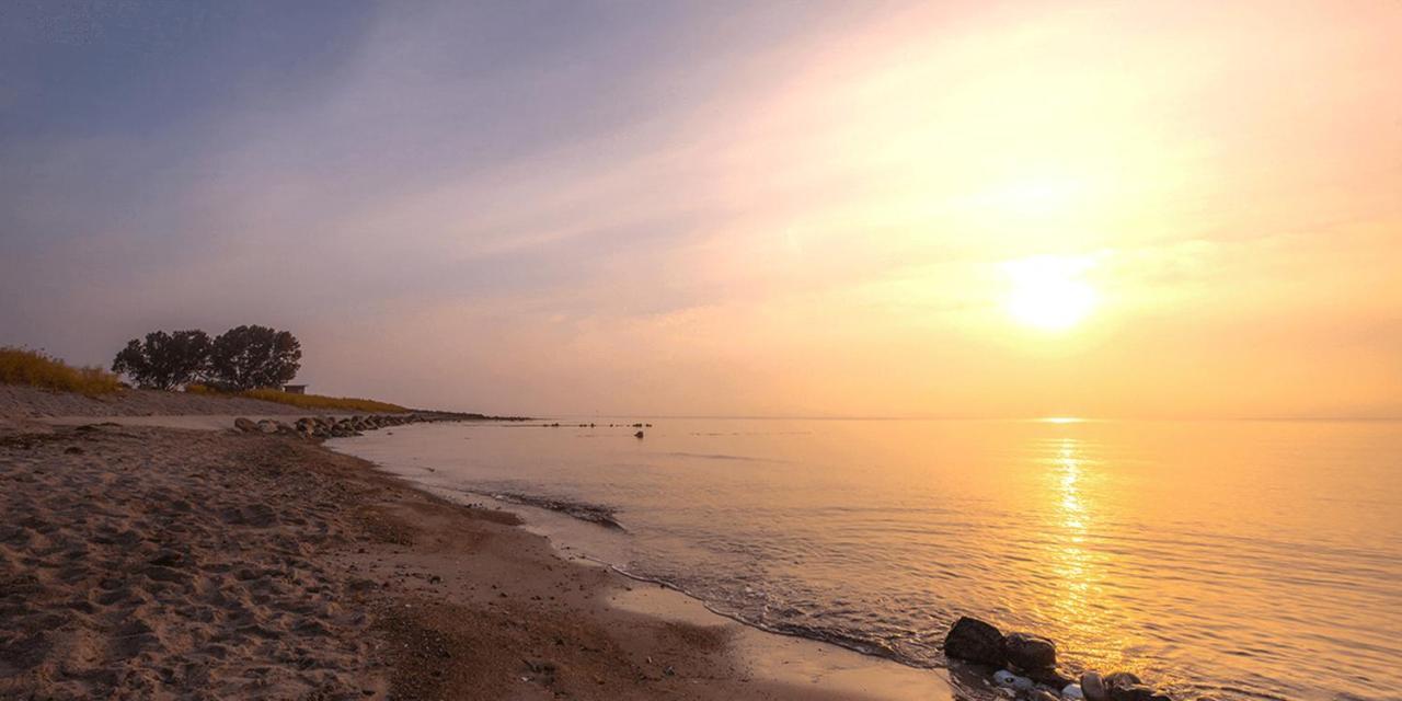 Ostseehotel Midgard Im Dampland Dış mekan fotoğraf